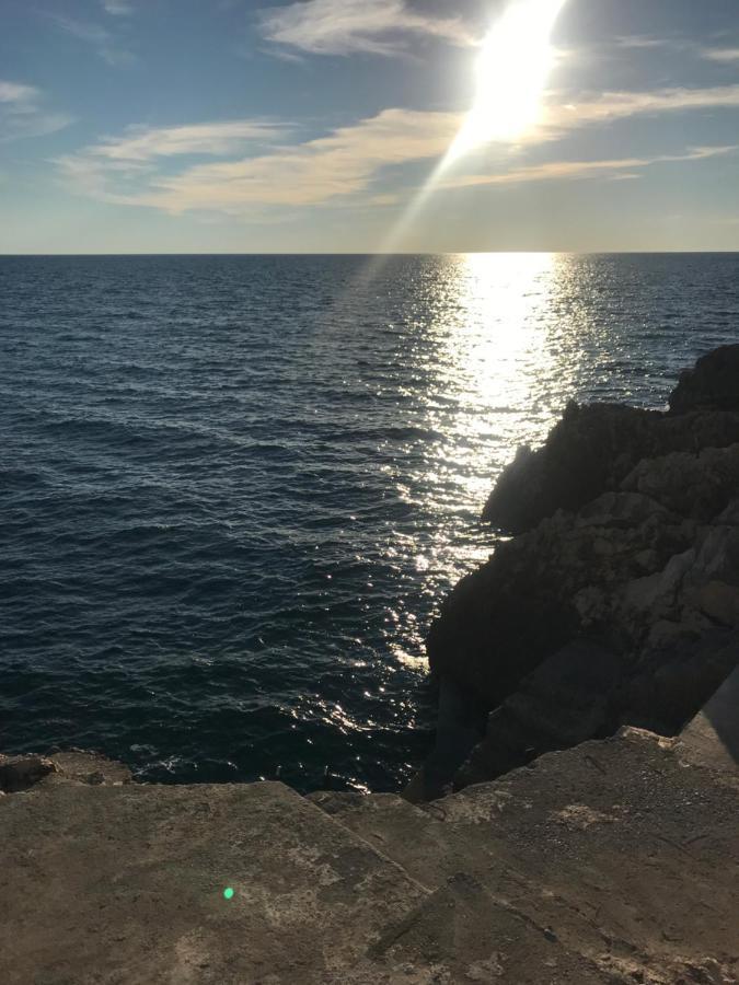 Guesthouse Oaza Emi Dobra Voda Buitenkant foto